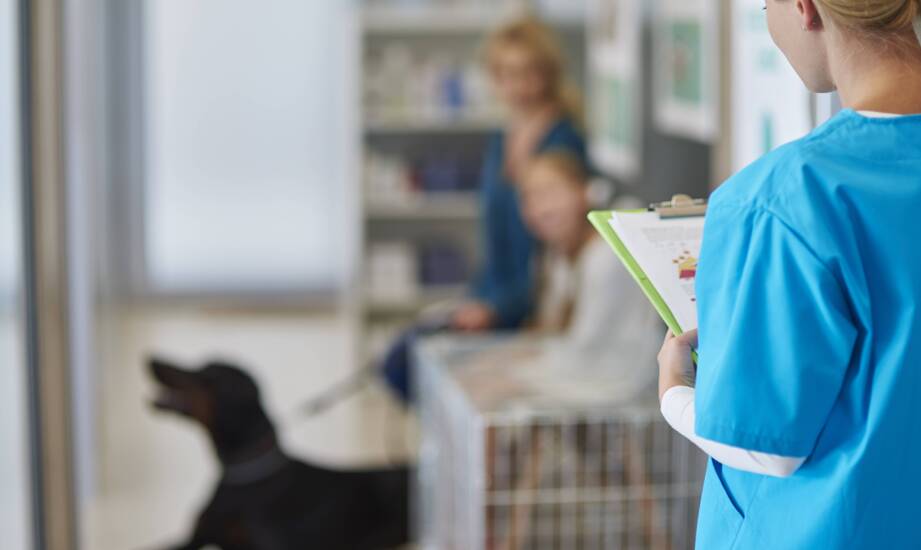 Gdzie gabinet weterynaryjny traci czas na ręcznej administracji i jak odzyskać porządek pracy