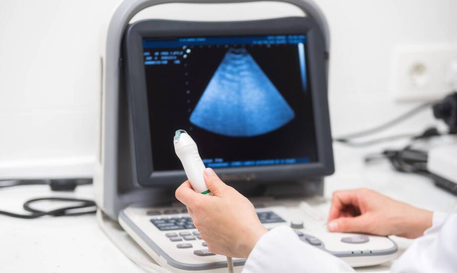 Jak diagnostyka andrologiczna z USG pomaga ustalić źródło problemów z erekcją