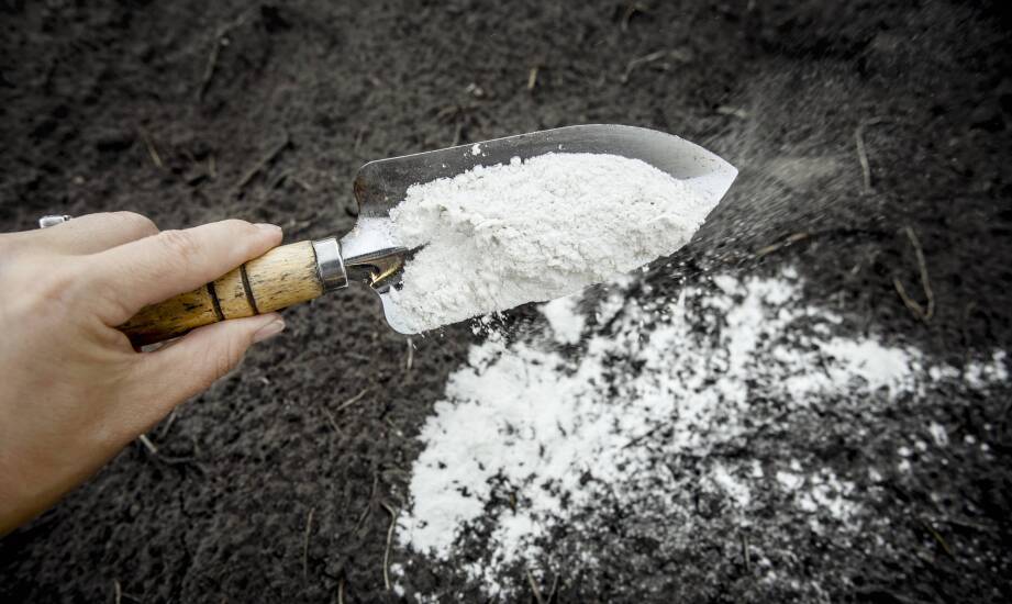 Jak drobna kreda wapniowa odkwasza glebę i kiedy ma sens w uprawach ekologicznych