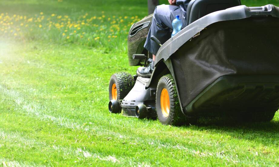 Seria LT, XT i XZ w Cub Cadet — co oznaczają dla polskiego ogrodu