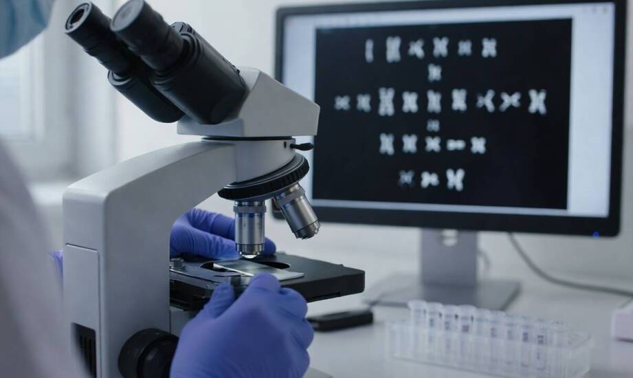 Jak przebiega refundowana analiza chromosomów — zakres oceny i ograniczenia standardowej diagnostyki cytogenetycznej