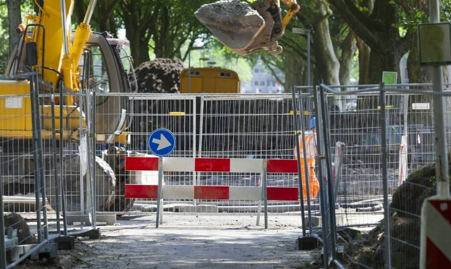 Kiedy decyzja o wycince musi wyprzedzić pozwolenie na budowę, a kiedy odwrotnie