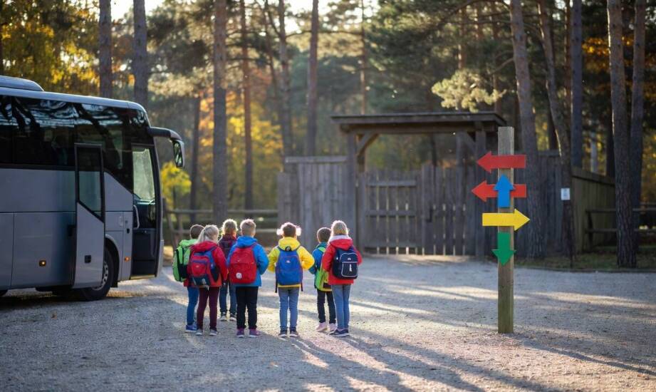 Dojazd, parking i start dnia szkolnej wycieczki do zoo pod Poddębicami
