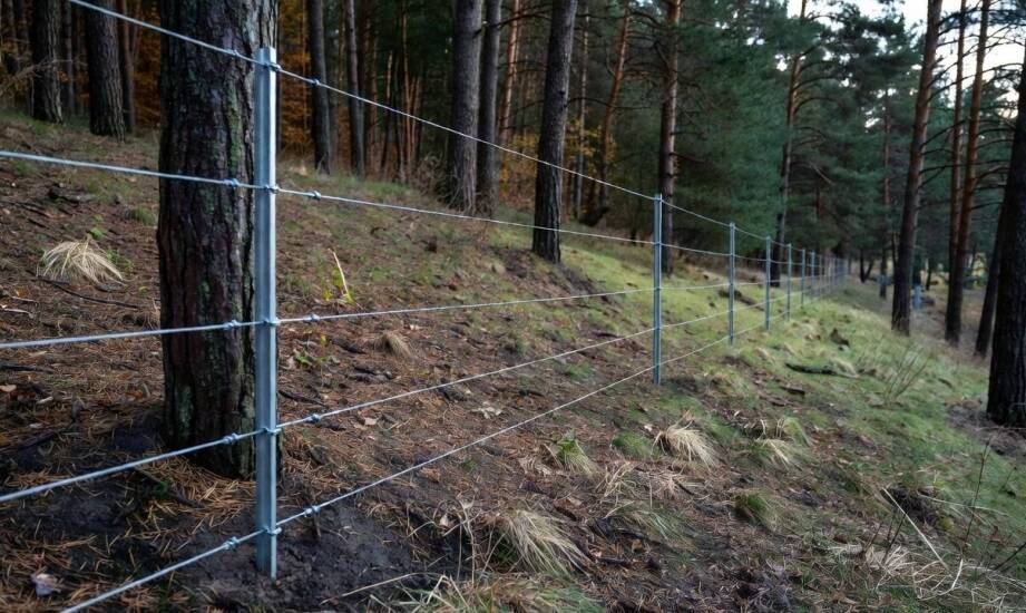 Dlaczego wysokość 160 cm bywa granicą między ochroną a dodatkowymi zabezpieczeniami