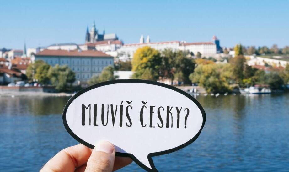 Jak uniknąć błędów przy przekładzie dokumentów urzędowych?