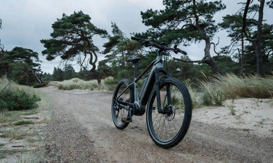 Jak środek ciężkości, geometria i skok zawieszenia wpływają na zachowanie e-bike'a w wietrznym Pomorzu