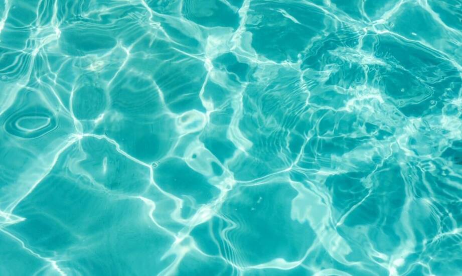 Dlaczego hydroterapia w psi hotel dolnośląskie jest korzystna dla Twojego pupila?