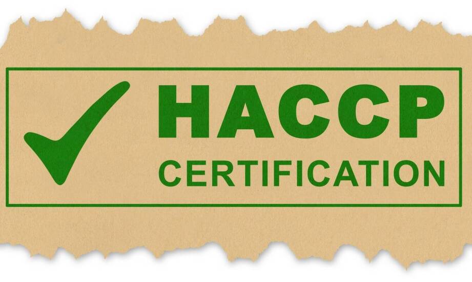 Dlaczego certyfikaty ekologiczne są ważne przy wyborze żywności?