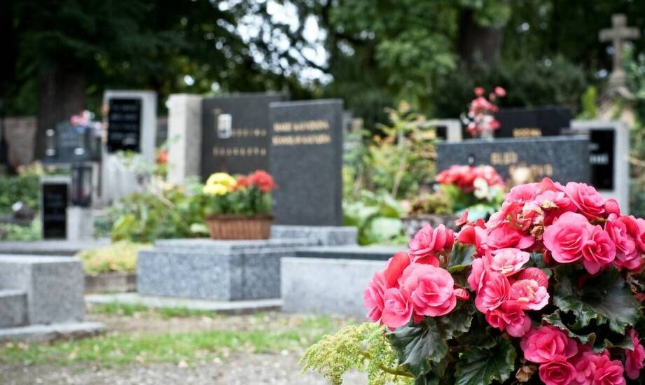 Jak różnorodność kolorystyczna wpływa na odbiór długich stroików na cmentarz?