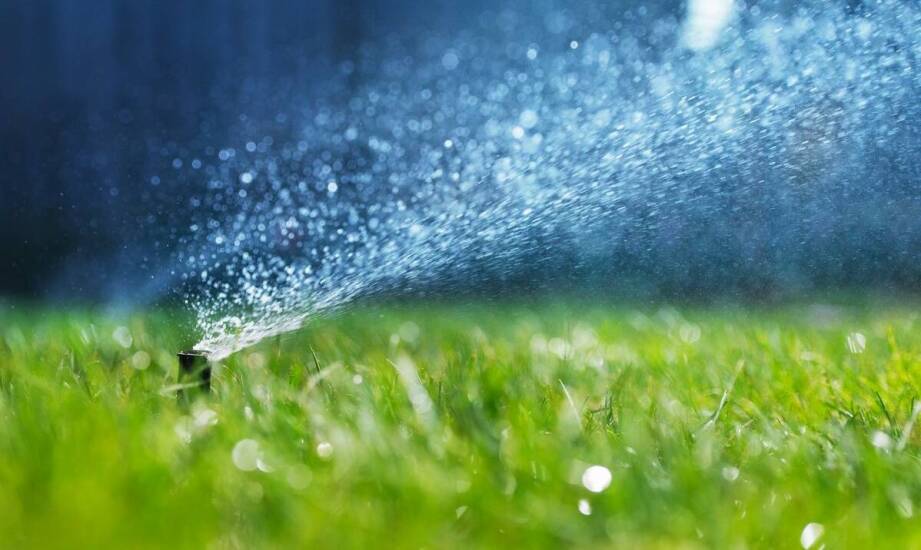 Jak poprawnie ustawić zraszacze Rain Bird dla optymalnego nawodnienia ogrodu?