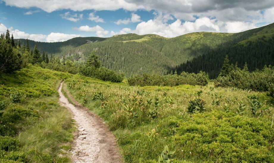 Wycieczki rowerowe i piesze – aktywny wypoczynek w agroturystyce dolnośląskiej