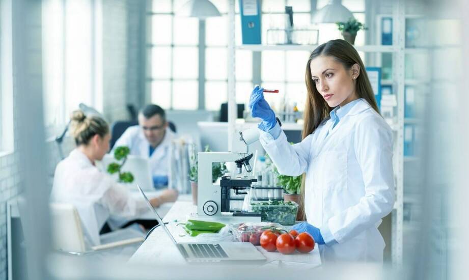 Jak produkty wykrywalne pomagają w spełnianiu norm bezpieczeństwa żywności?