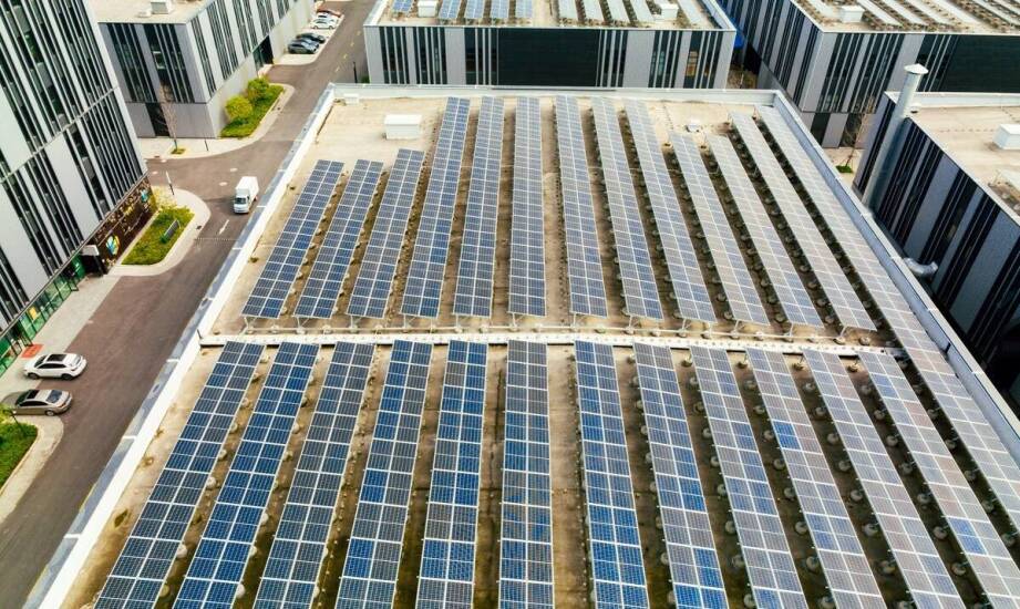 Jak hurtownie paneli fotowoltaicznych wspierają zieloną energię?