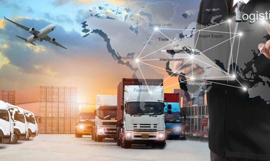 Dlaczego warto zaufać w kwestii transportu