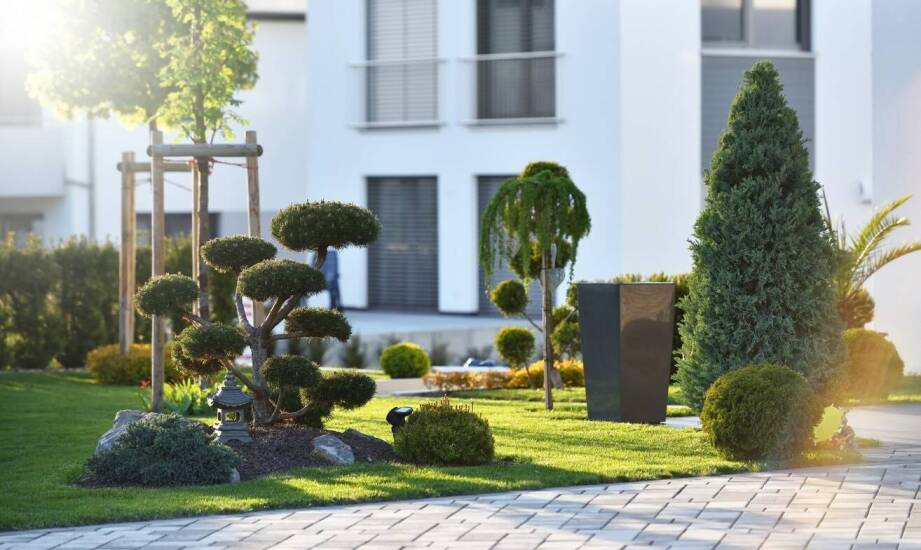 Jak animacje architektoniczne mogą wspierać procesy edukacyjne w architekturze?