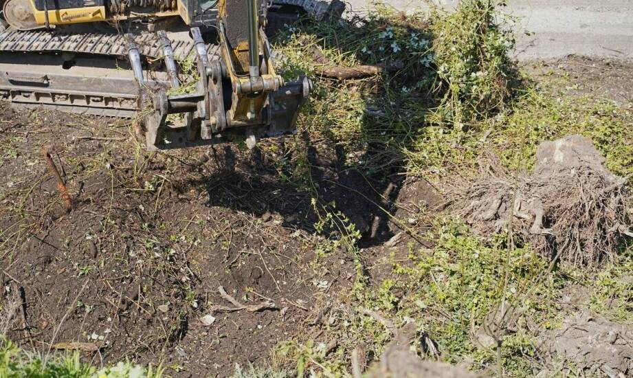 Karczowanie korzeni jako kluczowy element rewitalizacji terenów zielonych