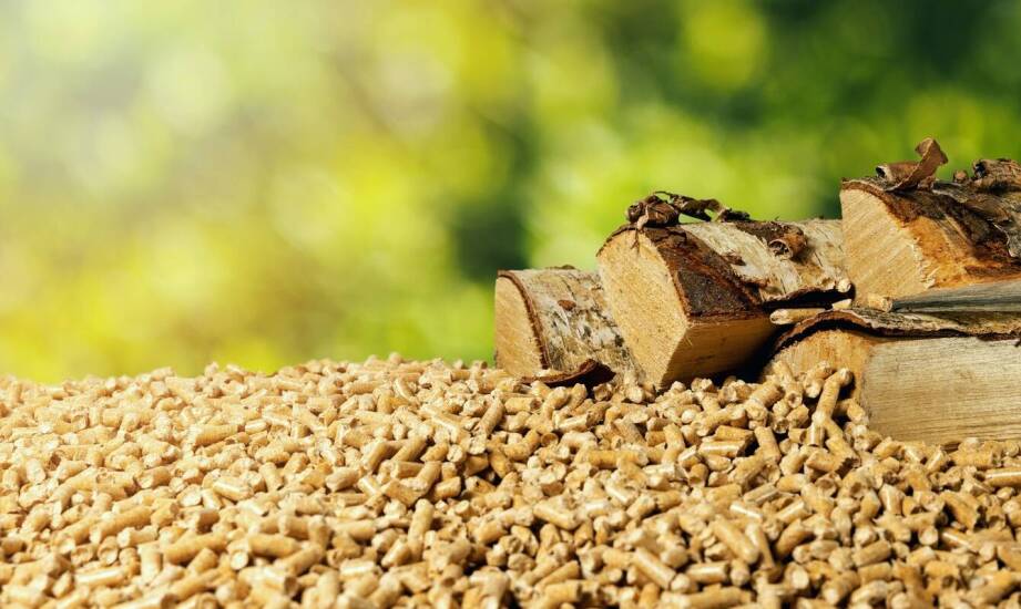 Jakie wyzwania stoją przed producentami pelletu w kontekście ekologii?