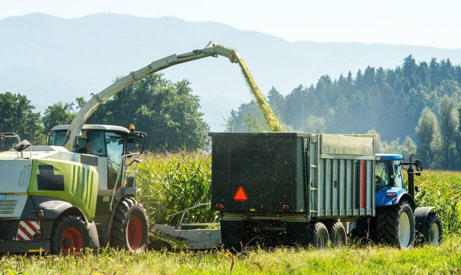 Jakie rozdrabniacze można znaleźć w ofercie agro Frankopol?