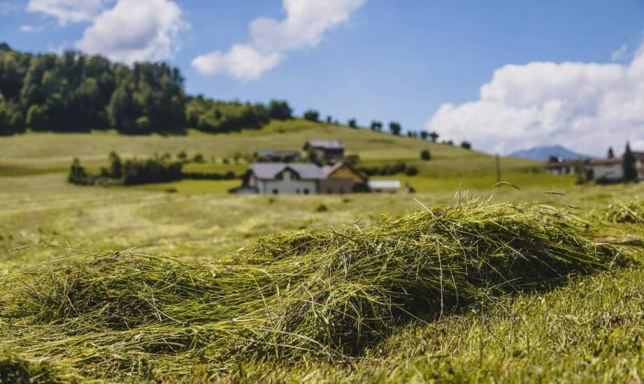 Jak siatki na siano wpływają na jakość przechowywanej paszy?