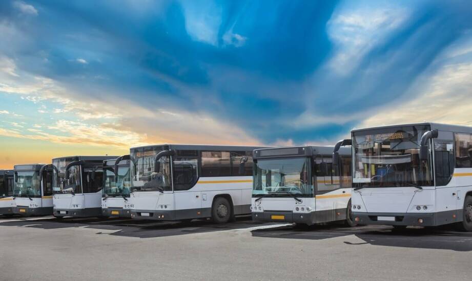 Transfery biznesowe – wynajem busa dla 20 pracowników