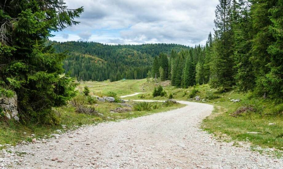 Najlepsze trasy trekkingowe na Maderze dla początkujących i zaawansowanych