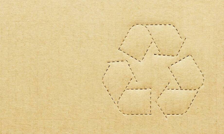 Certyfikat FSC a zaufanie klientów do produktów drzewnych