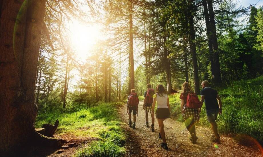 Jak trekking na Maderze może urozmaicić program obozu sportowego?