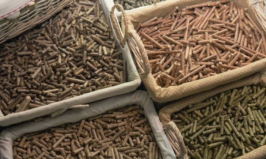 Wpływ snack pellets na rozwój rynku przekąsek w ostatnich latach