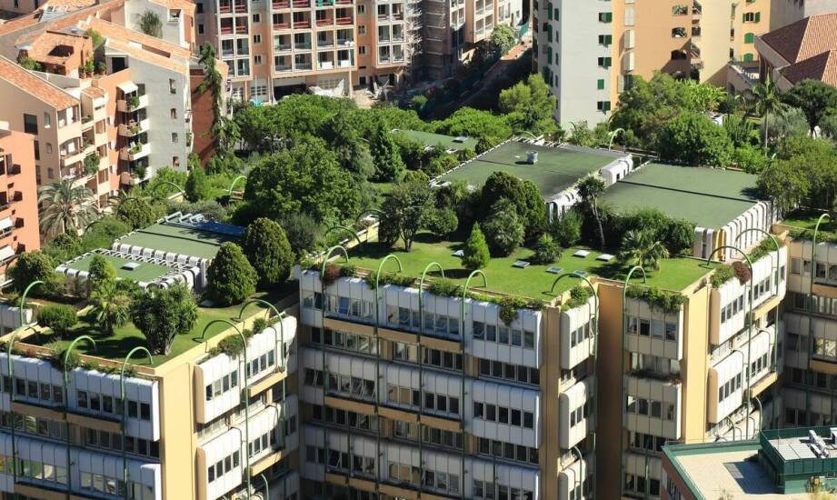 Jak powinna być wykonana solidna hydroizolacja dachów zielonych?