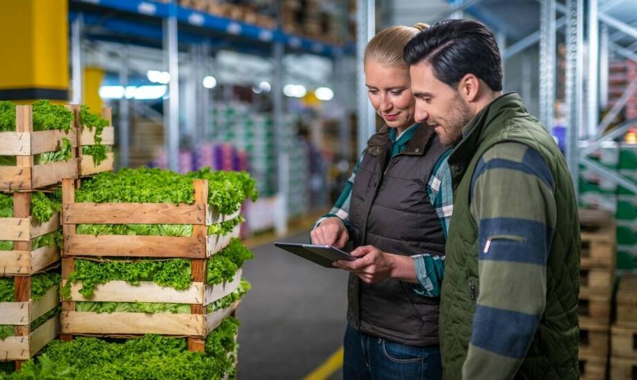 Jakie są kluczowe czynniki wpływające na wybór dostawcy usług logistycznych dla produktów spożywczych?