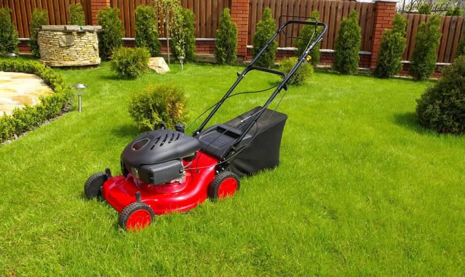 Kosiarki Stihl a oszczędność paliwa – jak to działa?