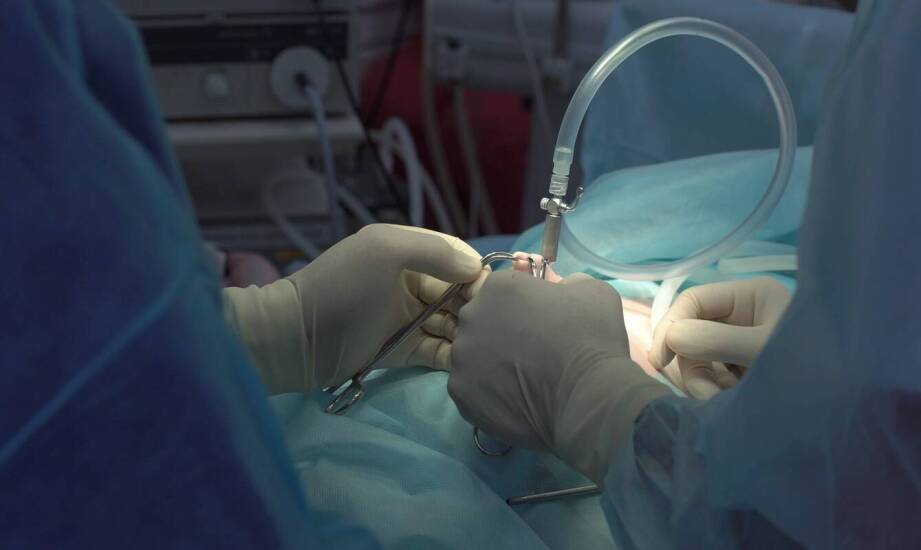 Światłowód medyczny a nowoczesne techniki obrazowania w laryngologii
