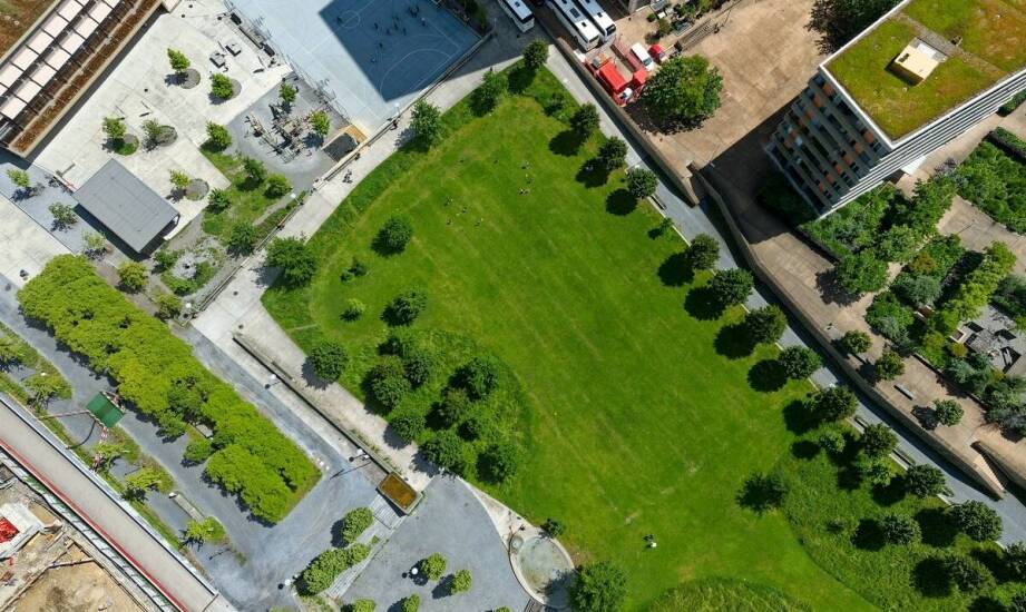 Jakie odmiany trawy z rolki najlepiej sprawdzą się w miejskich parkach?