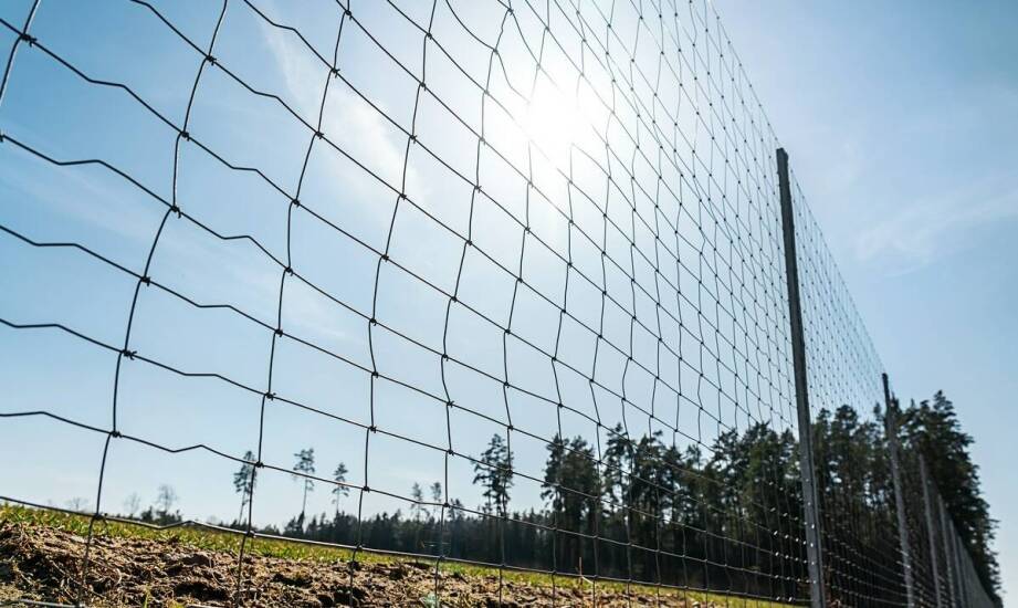 Rola siatki leśnej 180 w zapewnieniu bezpieczeństwa na terenach rekreacyjnych