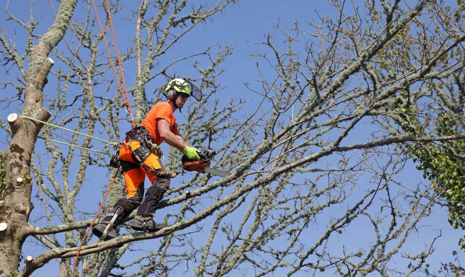 Jak prace wysokościowe wspierają ochronę środowiska w miastach?