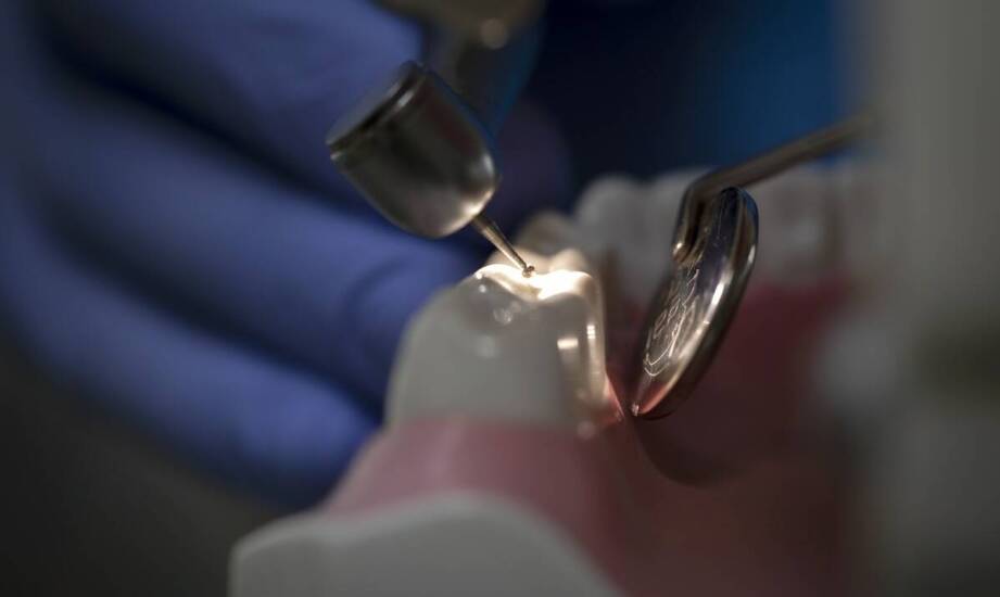 Endodoncja w gabinecie stomatologicznym: dlaczego jest ważna?