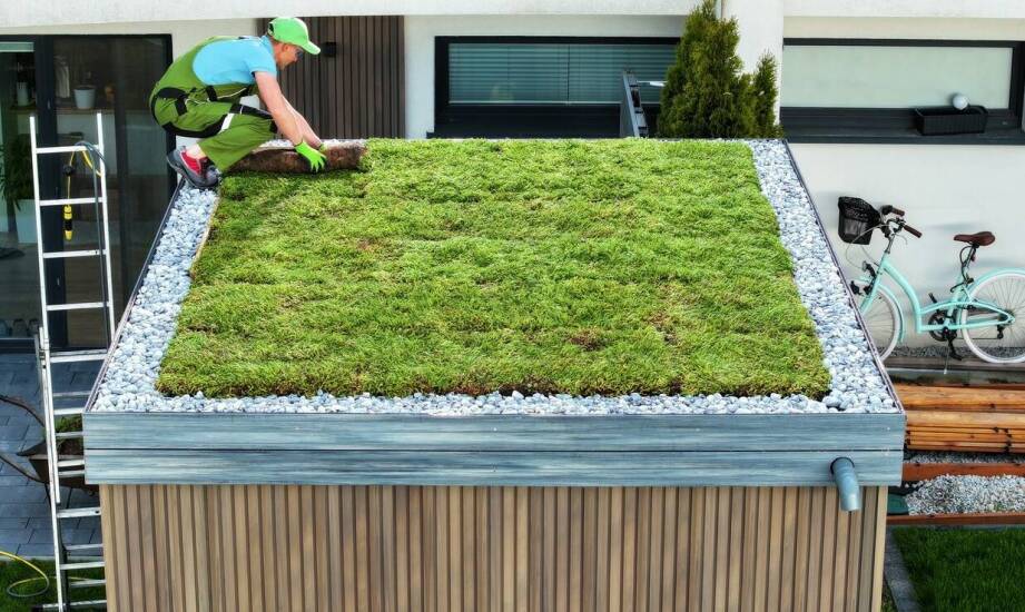 Jakie wyzwania i korzyści wiążą się z instalacją dachów zielonych?