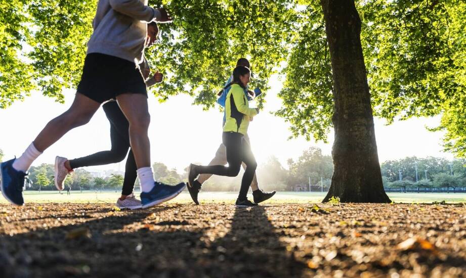 Welche Vorteile hat Cardio-Training für Anfänger?
