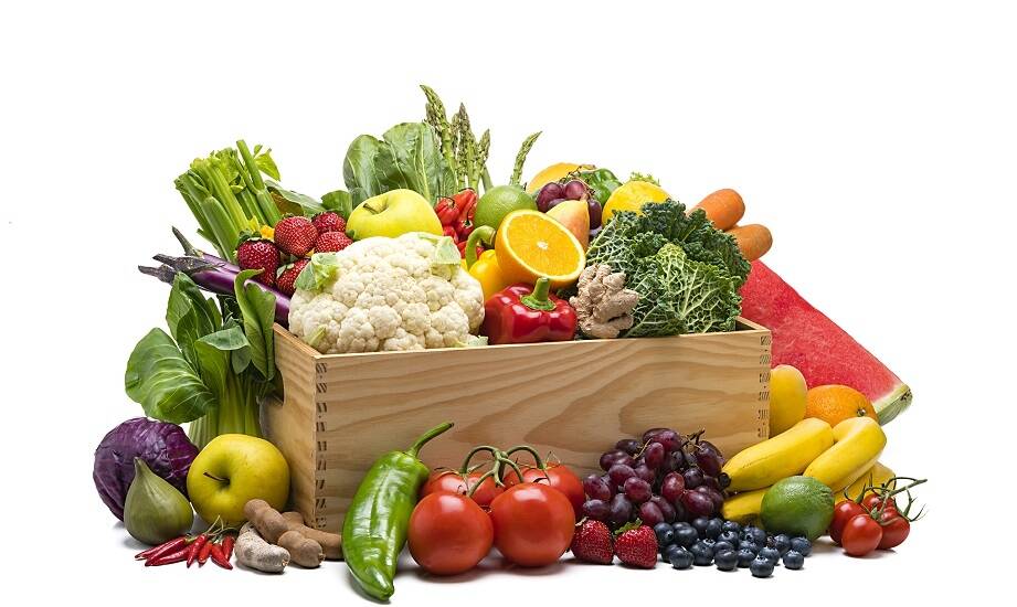 Wpływ świeżych składników na jakość cateringu dla dzieci