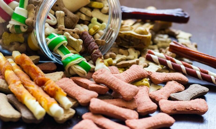 Naturalne gryzaki a dieta eliminacyjna u małych psów