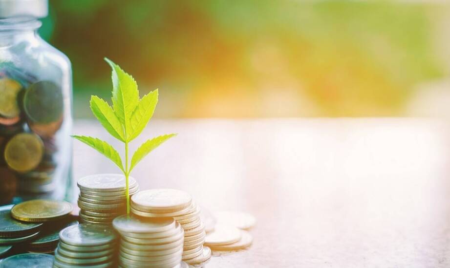 Trendy w finansowaniu ekologicznych projektów – co warto wiedzieć?