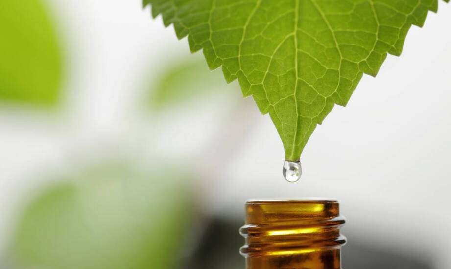 Olej CBD 5 w profilaktyce zdrowotnej – jak go stosować?