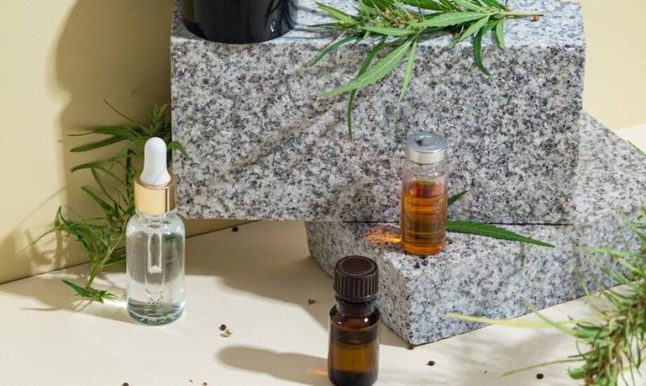 Olejek CBD jako naturalne wsparcie dla starszych kotów