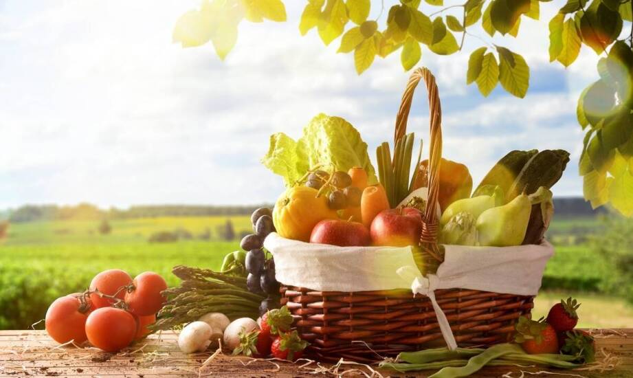 Przekąski finger food na pikniki: co warto uwzględnić w menu?