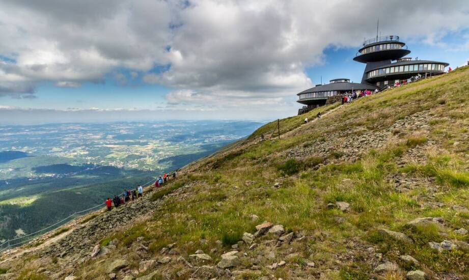 Co sprawia, że ibis budget Zakopane jest przyjazny dla zwierząt?