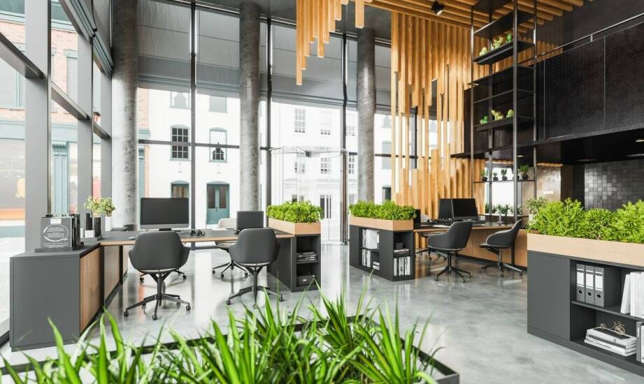 Trendy w projektowaniu pionowych ogrodów na nadchodzące lata