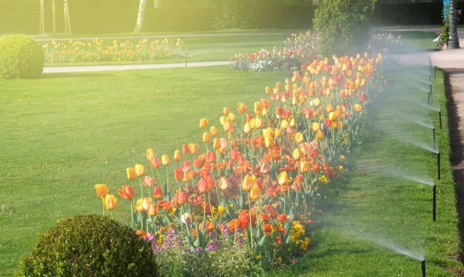 Zraszacz statyczny a tradycyjne metody podlewania – co warto wiedzieć?