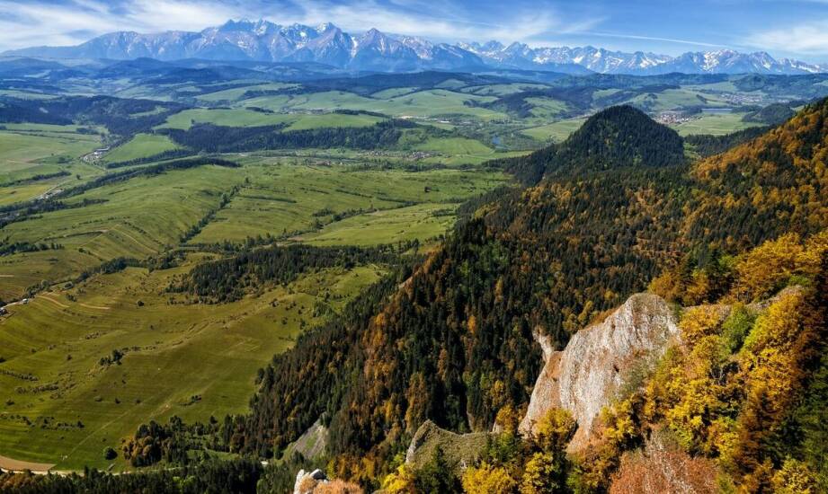 Jak cieszyć się naturą podczas pobytu w drewnianych domkach?