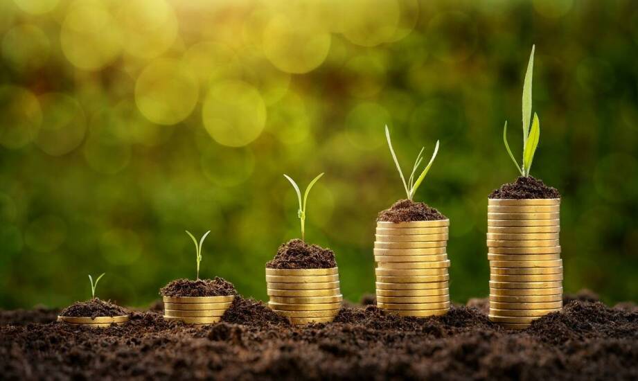 Wpływ ekologicznych kredytów na zrównoważony rozwój finansowy