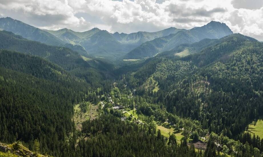 Zalety wynajmu domku w Krynicy na romantyczny weekend
